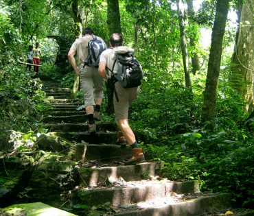 Cuc Phuong National Park