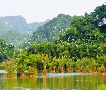 Thung Nham Bird Valley